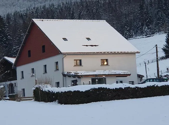 L'ecureuil 4 Etoiles *