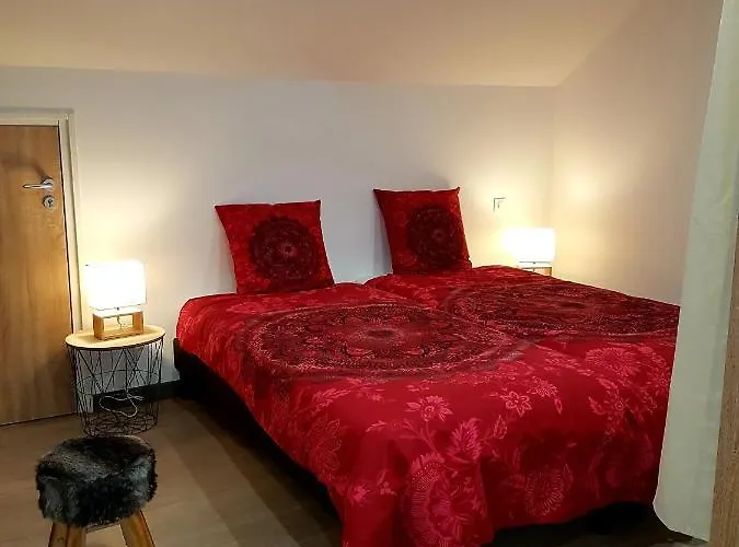 L'ecureuil 4 Etoiles